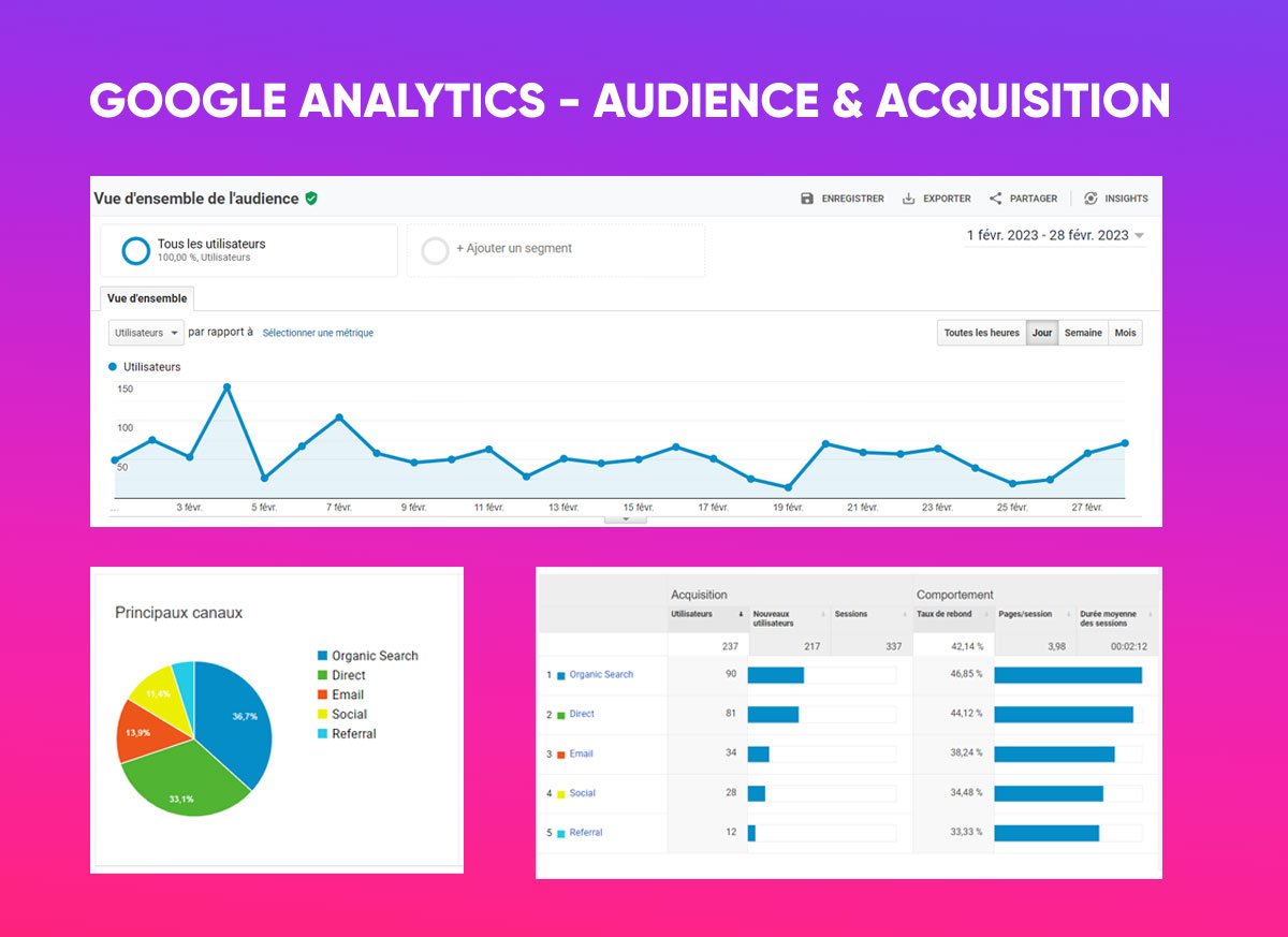 Google Analytics - Audience et Acquisition